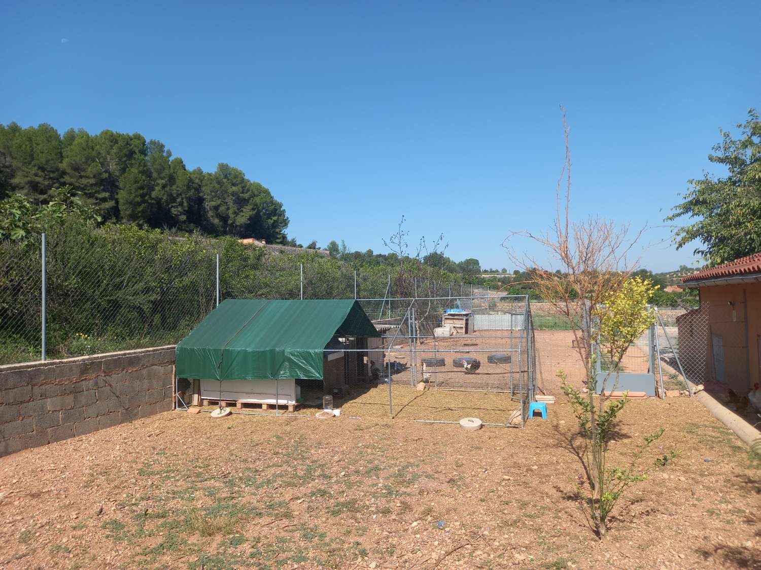 Superb finca with land of 10,200M² in Valencia (Ville Anna)