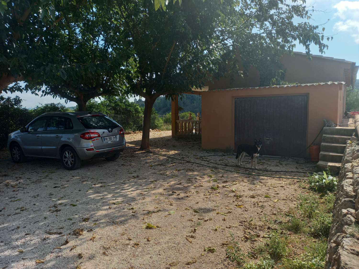 Superb finca with land of 10,200M² in Valencia (Ville Anna)