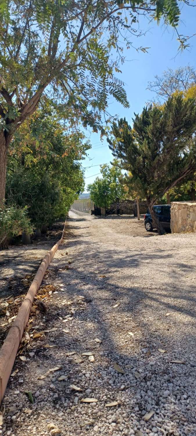 Splendide propriété ( maison de Maitre ) à FORTUNA ( MURCIA )