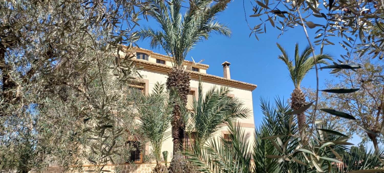 Splendid property (Master's house) in FORTUNA (MURCIA)