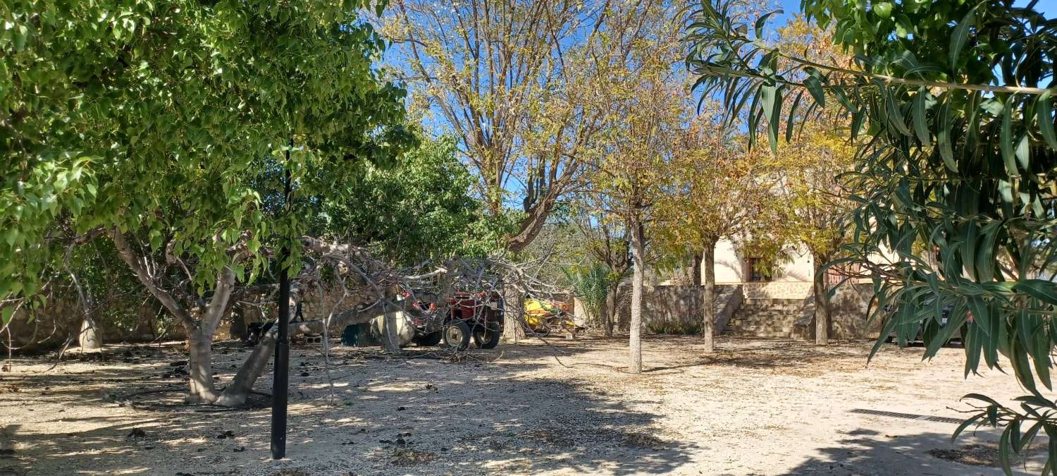 Splendide propriété ( maison de Maitre ) à FORTUNA ( MURCIA )