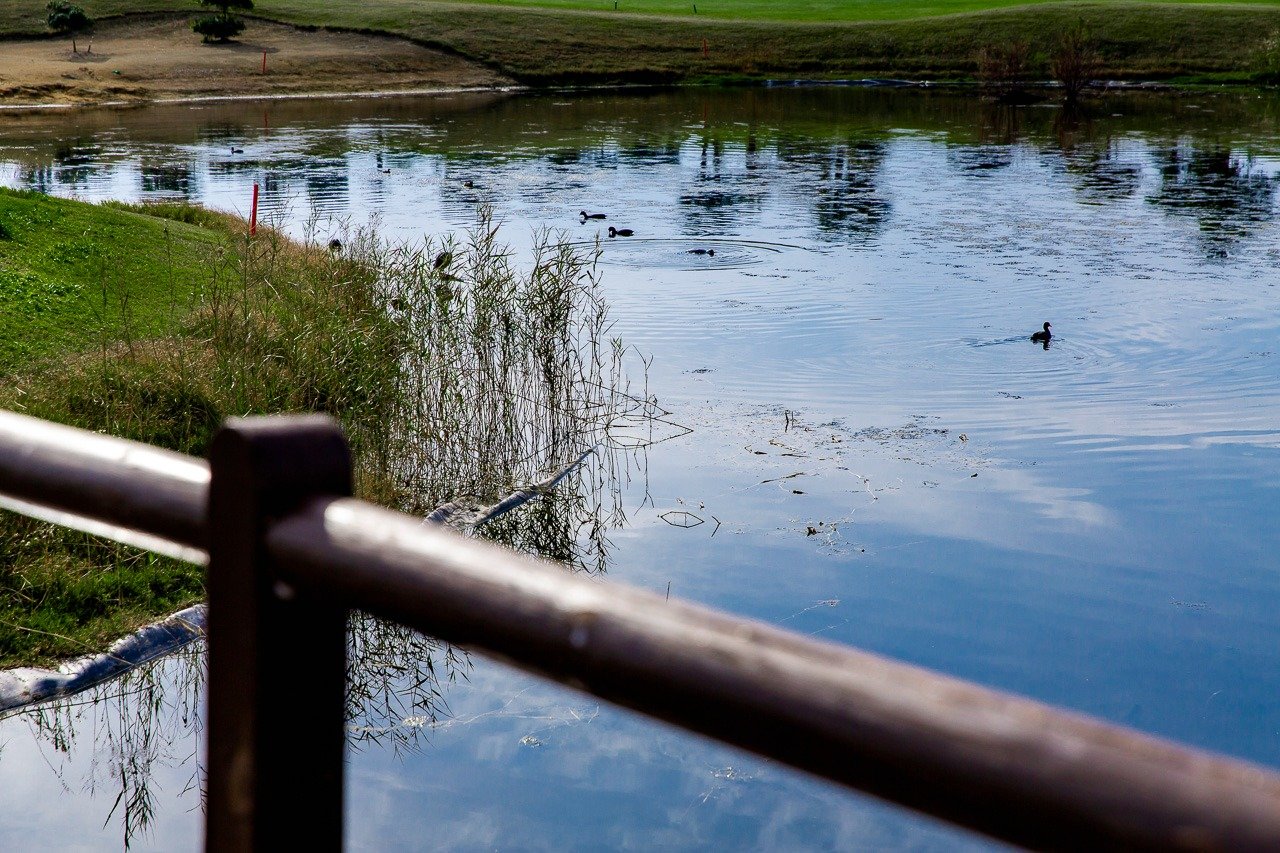 Villa de Lujo - Orihuela (Vistabella Golf)