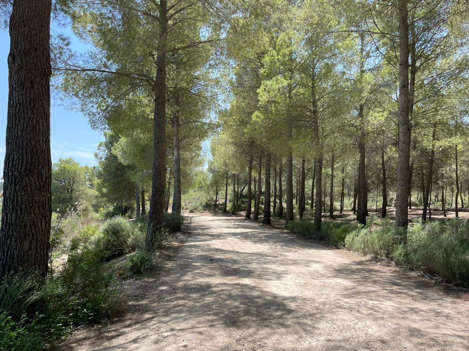 Herrliche Luxusvilla im Coto de los Riñales / Berg Calasparra (Murcia)