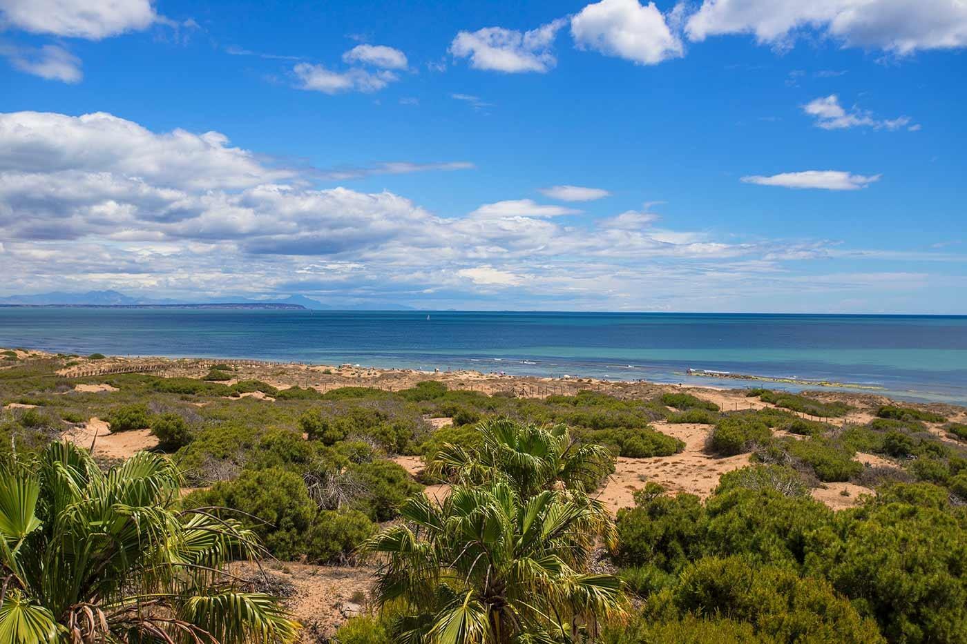 Bungalow de 4 dormitorios - Torrevieja (zona cruce de caminos)