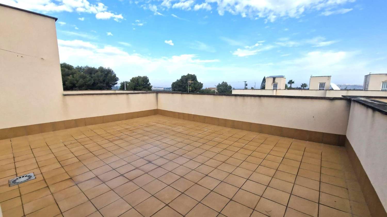 Casa de campo - Los Montesinos (La Herrada)