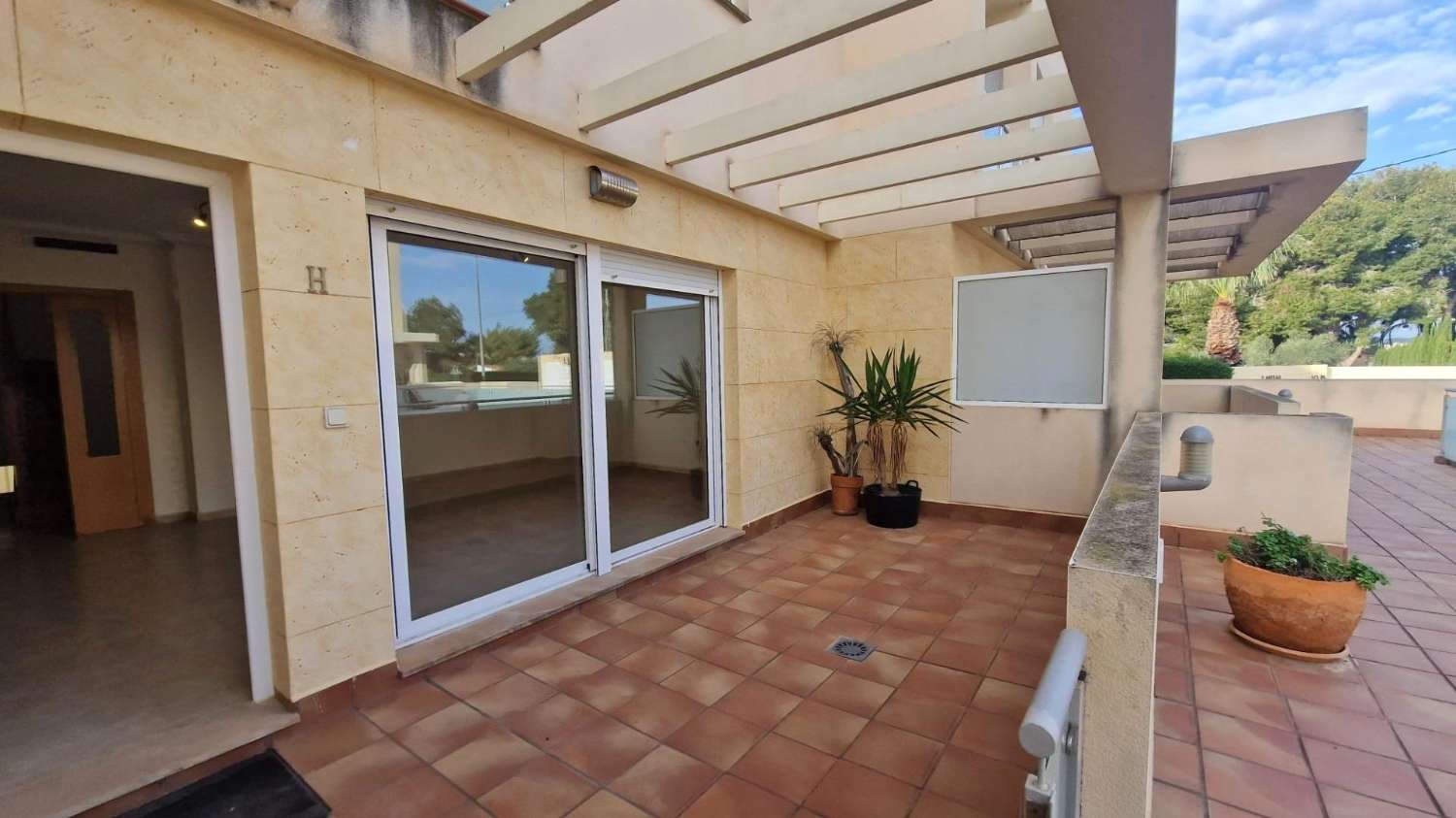 Casa de campo - Los Montesinos (La Herrada)