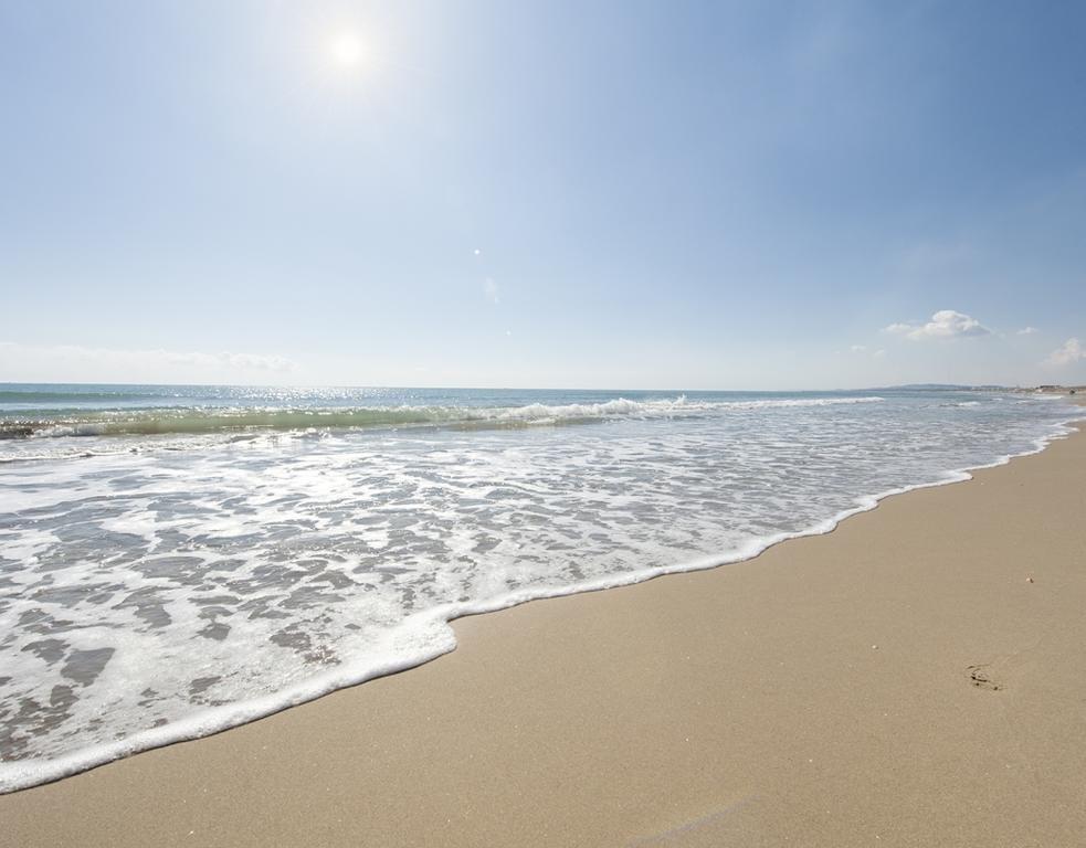 شقة للبيع في Guardamar Playa (Guardamar del Segura)