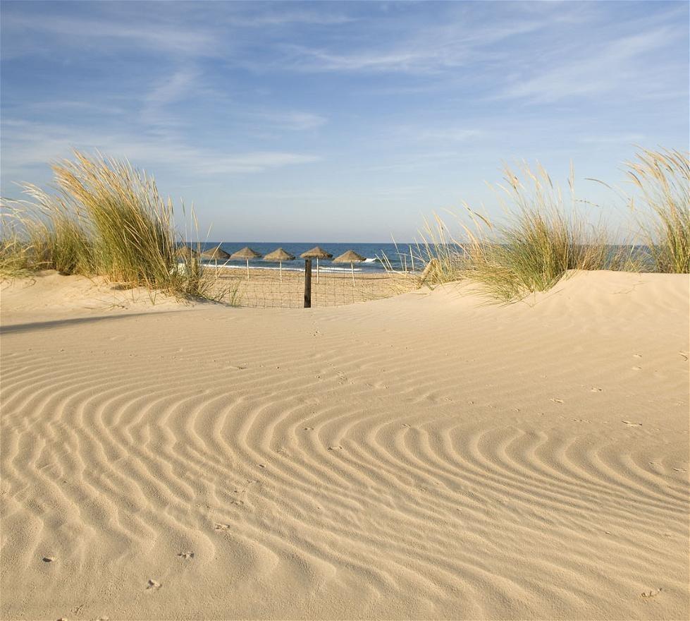 شقة للبيع في Guardamar Playa (Guardamar del Segura)