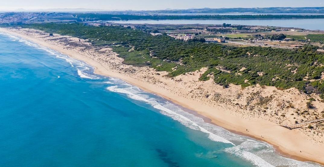شقة للبيع في Guardamar Playa (Guardamar del Segura)
