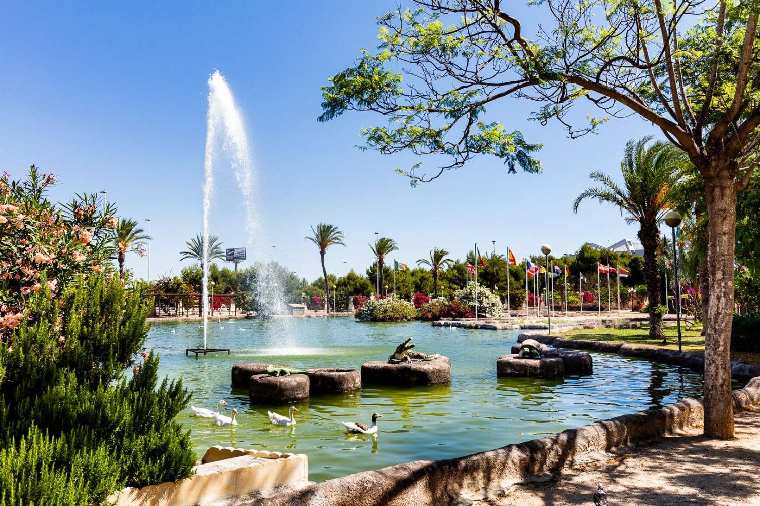 2-pokojowe mieszkanie z basenem w Torrevieja