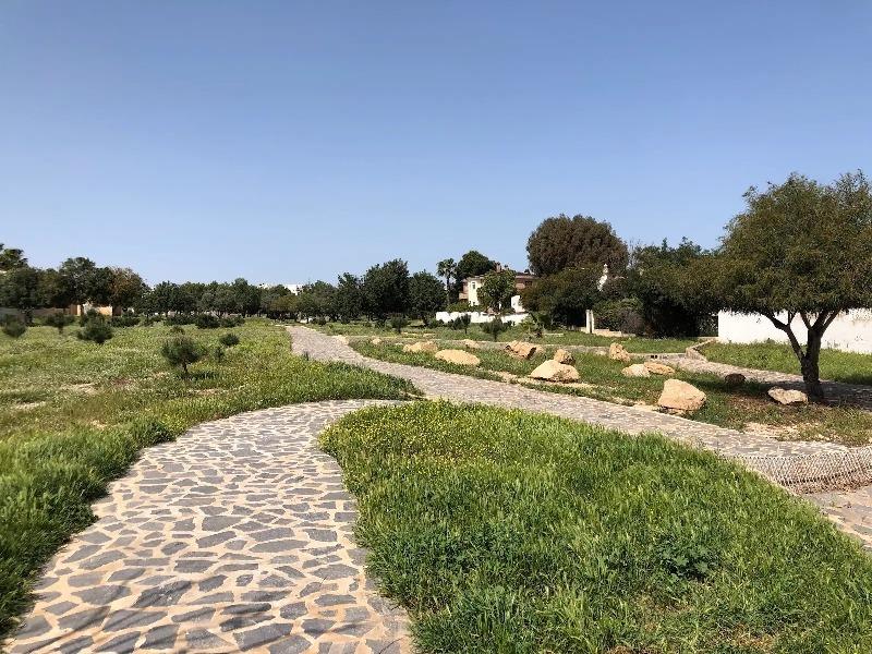 Villa di lusso indipendente, 5 camere da letto, 4 bagni, piscina, giardini, ampio terreno, Ciudad Quesada