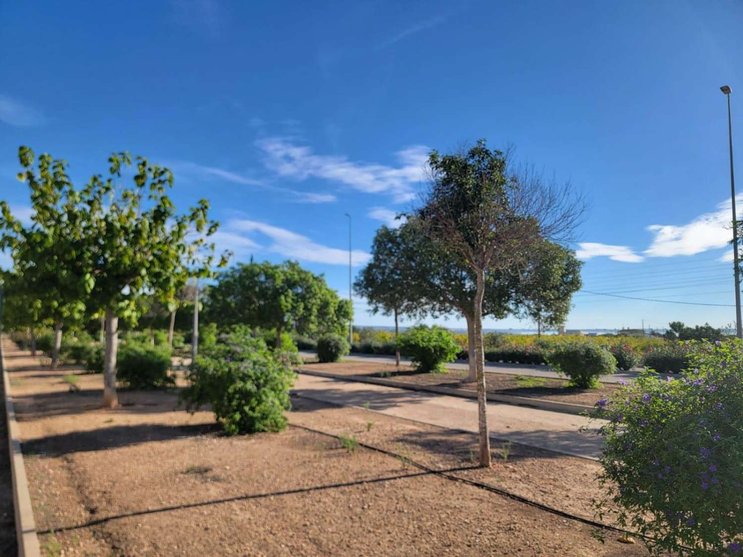 Villa adosada, en esquina, 3 dormitorios, 1 baño, gran solárium, jardín muy amplio, piscina comunitaria, en Los Montesinos