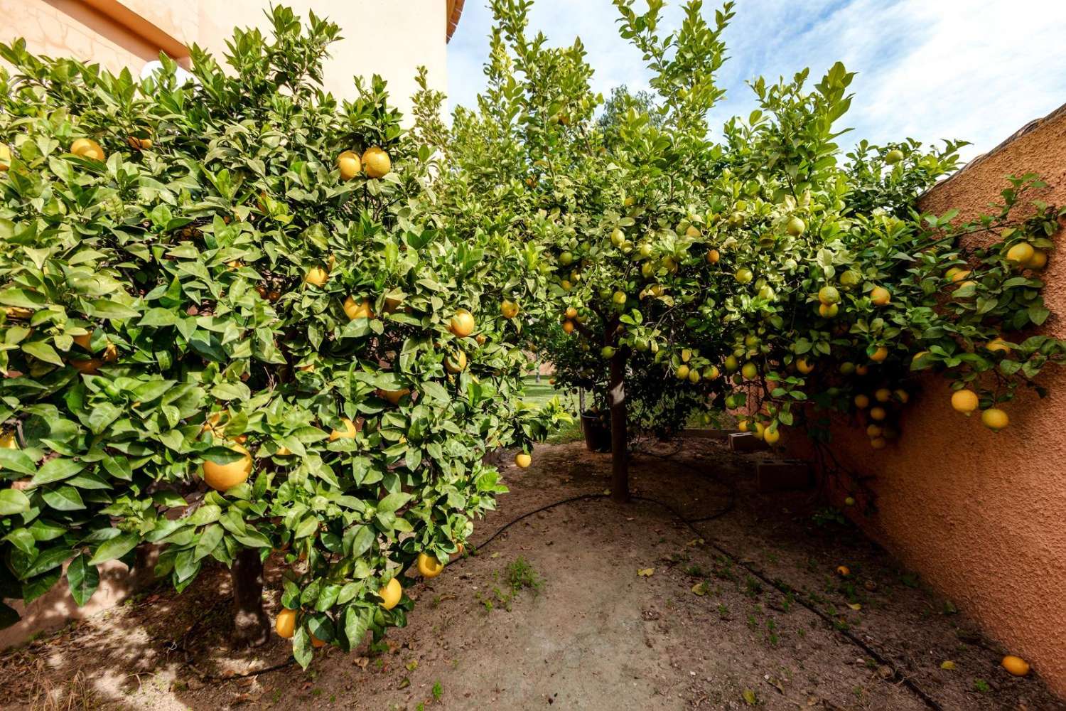 En Venta Villa de Lujo en San Luis Torrevieja