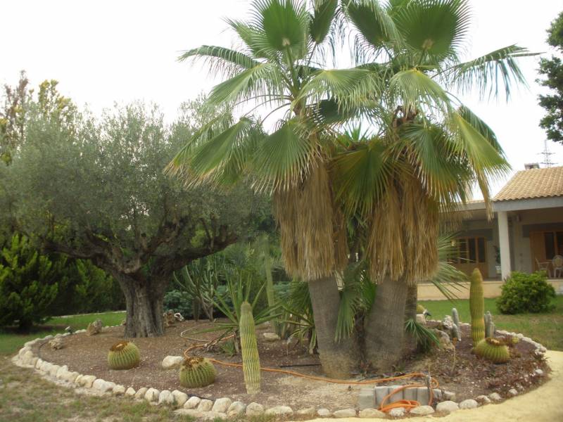 Chalet independiente de lujo en suelo urbanizable Elche ( Alicante)