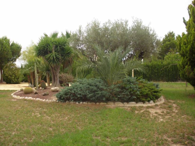 Chalet independiente de lujo en suelo urbanizable Elche ( Alicante)