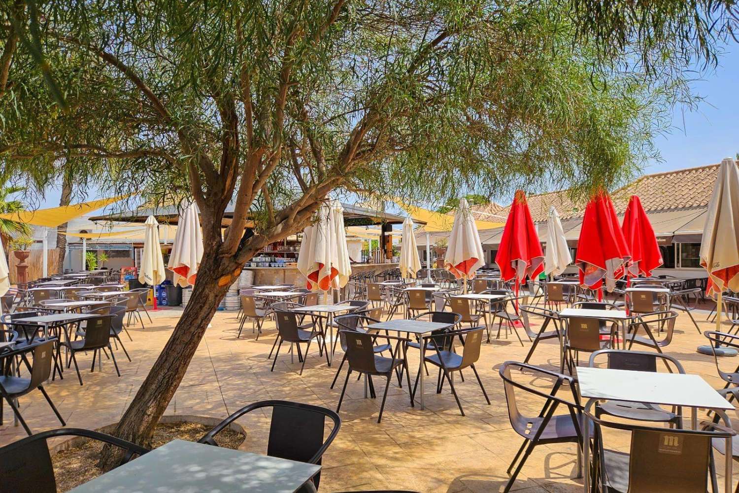 Villa en Torrevieja - Zona Calas blanca