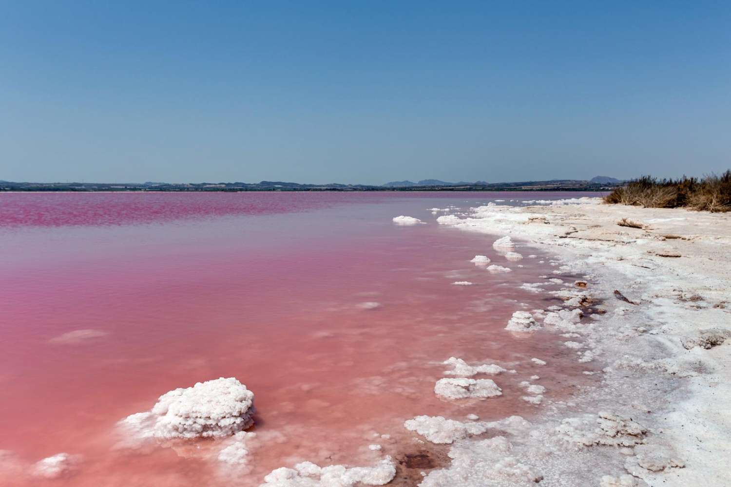 Lys leilighet med 2 soverom bare noen skritt fra sentrum
