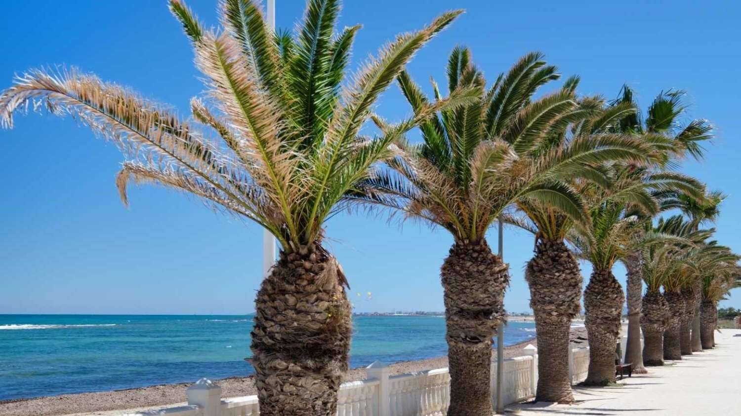 Bonito triplex, espacioso, 4 dormitorios, 3 baños, terrazas amplias, cerca de la playa en Torre de la Horadada