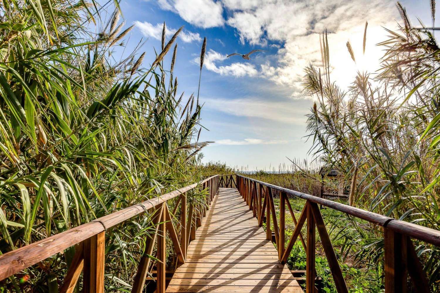 Вілла в районі Сан-Фульхенсіо - Ла-Маріна