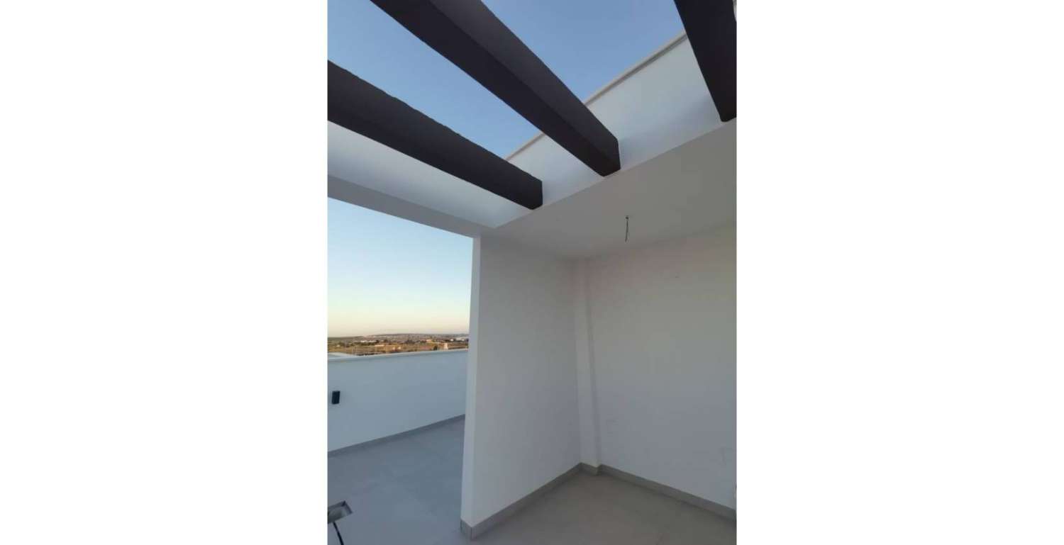 Нова вілла з приватним басейном та гаражем у Лос-Монтесінос