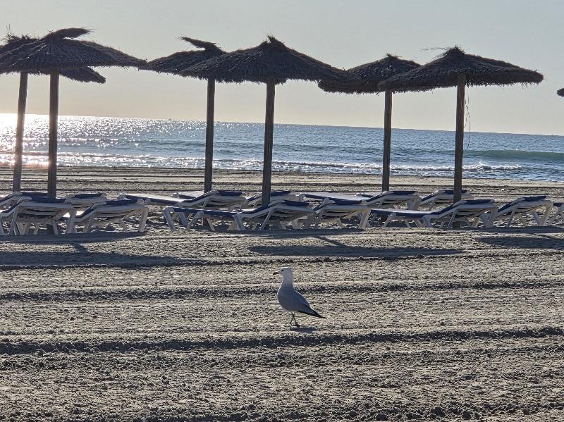 Villa de Lujo, como nueva, independiente, 3 dormitorios, 3 baños, piscina privada, gran jardín, cerca de la playa en Cabo Roig