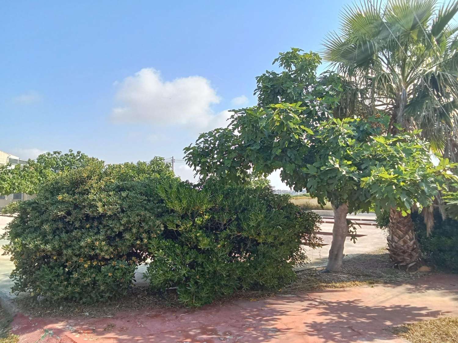 Bungalow en vente à Torreta (Torrevieja)